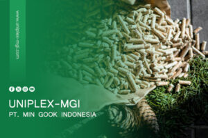 articles uniplex mgi 2