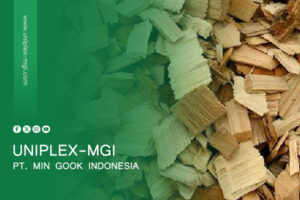 articles uniplex mgi 4